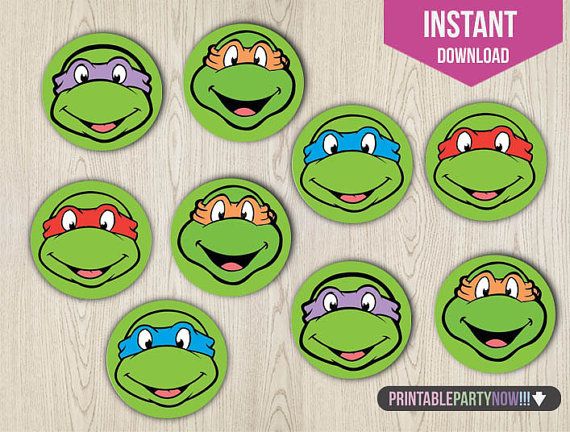 Detail Ninja Turtle Stickers Nomer 30