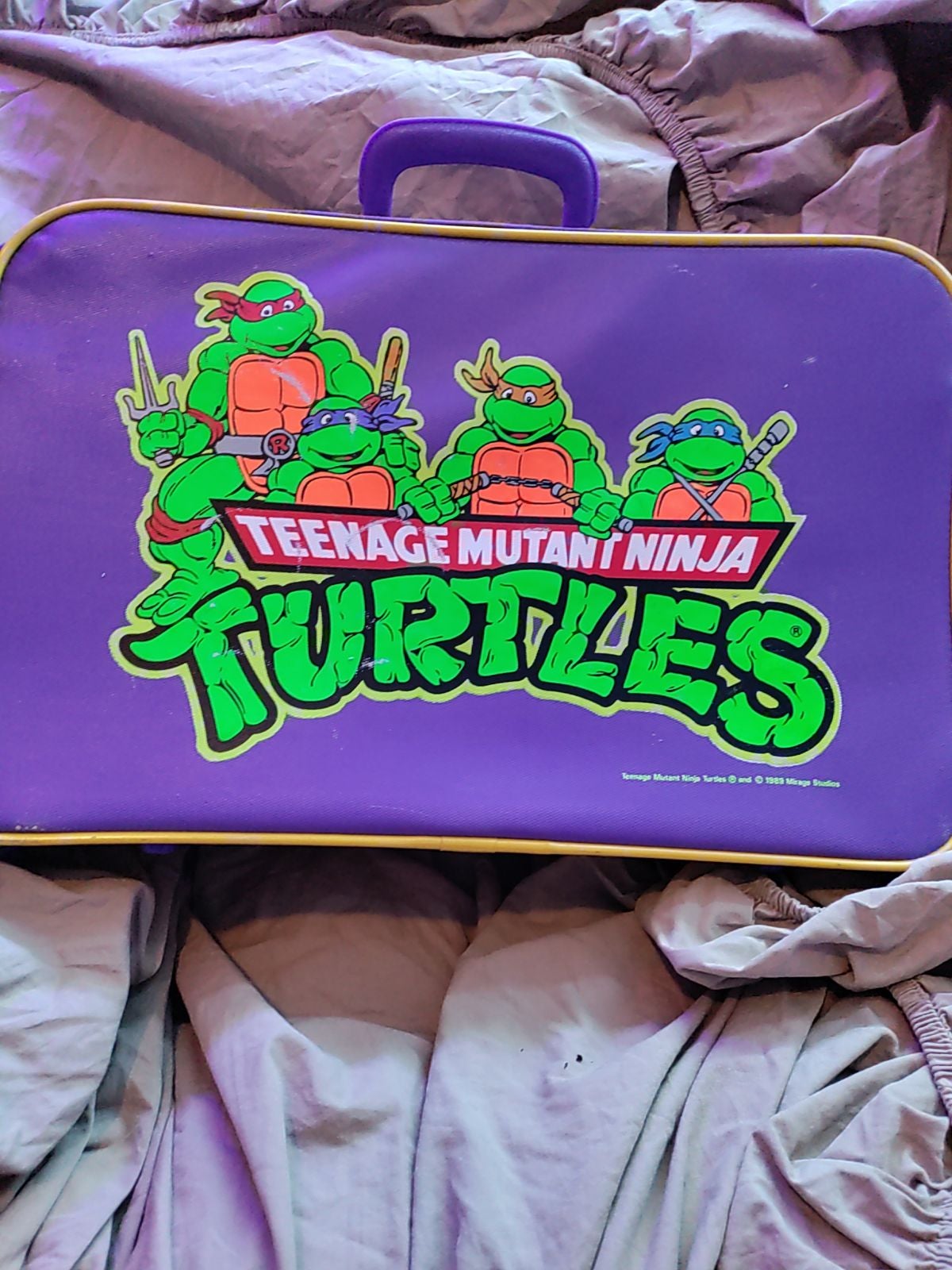 Detail Ninja Turtle Suitcase Nomer 47