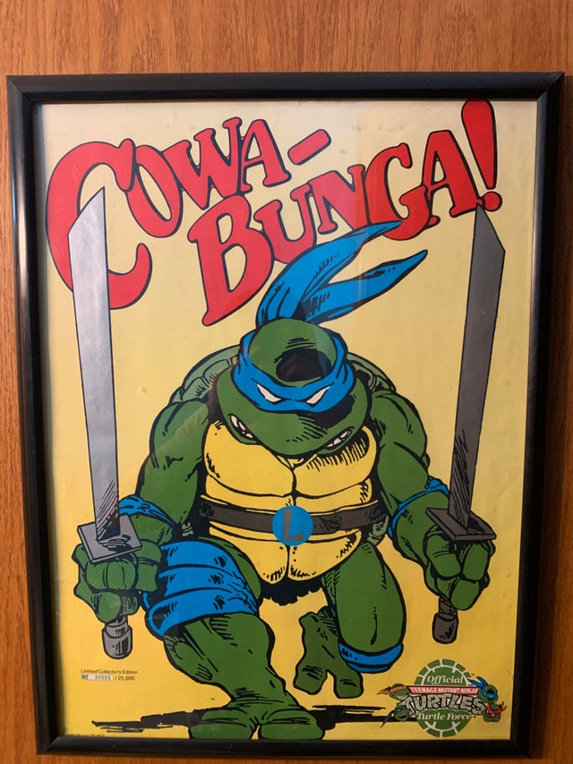 Detail Ninja Turtle Towel Meme Nomer 12