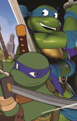 Detail Ninja Turtle Towel Meme Nomer 25
