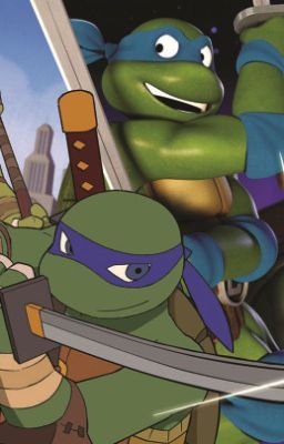 Detail Ninja Turtle Towel Meme Nomer 25