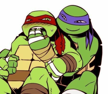 Detail Ninja Turtle Towel Meme Nomer 41