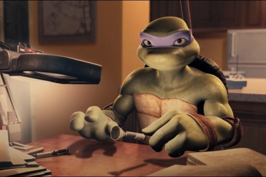 Detail Ninja Turtle Towel Meme Nomer 50