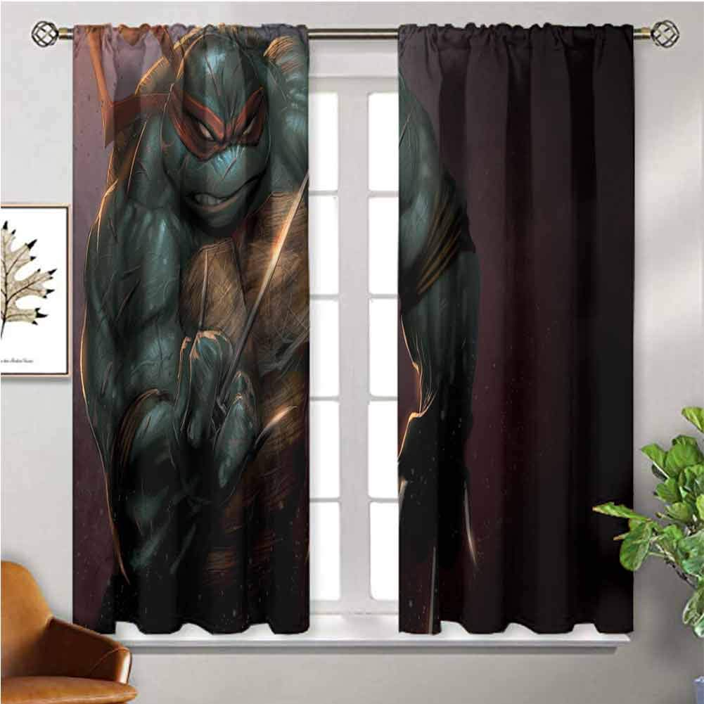 Detail Ninja Turtle Window Curtains Nomer 47