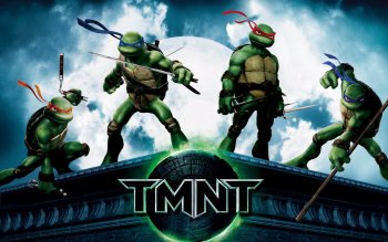 Detail Ninja Turtles Bedroom Wallpaper Nomer 45