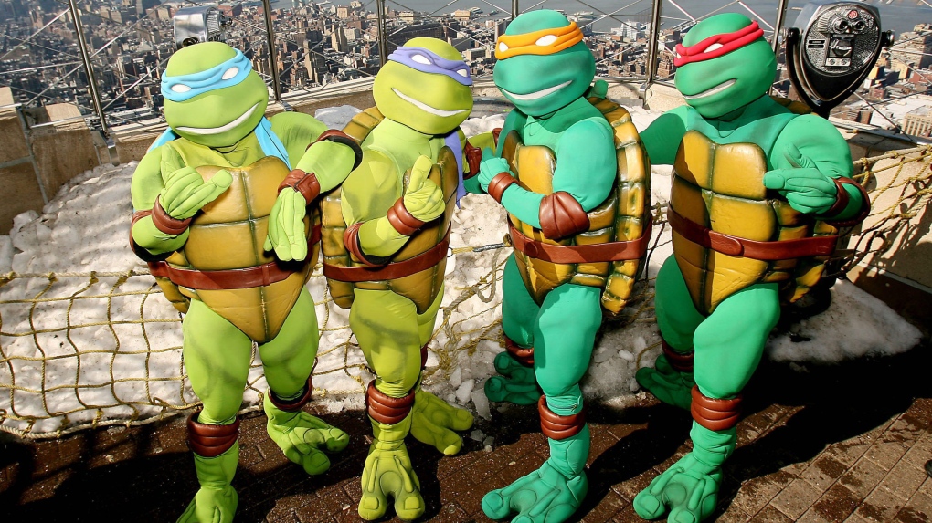 Detail Ninja Turtles Named After Nomer 31