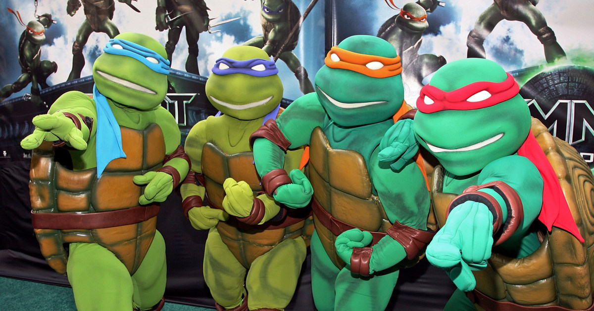 Detail Ninja Turtles Named After Nomer 5