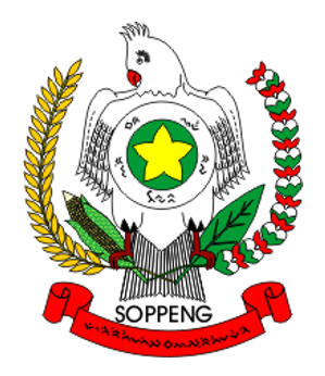 Download Logo Kabupaten Soppeng Nomer 2