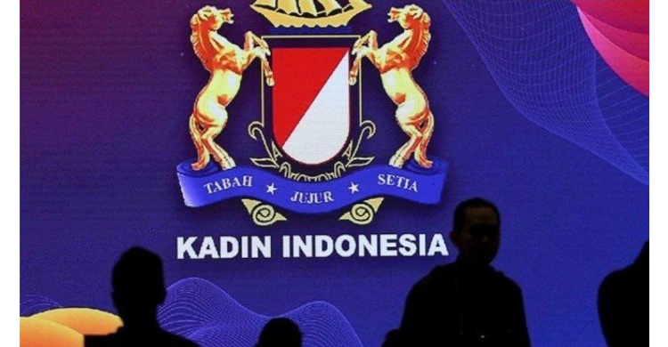 Detail Logo Kadin Png Nomer 41