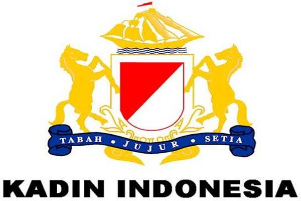 Detail Logo Kadin Png Nomer 7