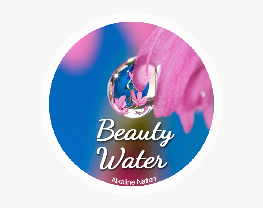 Detail Logo Kangen Water Png Nomer 10