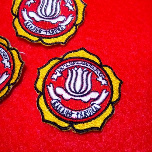 Detail Logo Karang Taruna Jpg Nomer 33