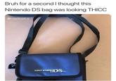 Detail Nintendo Ds Bag Meme Nomer 29