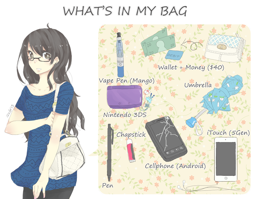 Detail Nintendo Ds Bag Meme Nomer 52