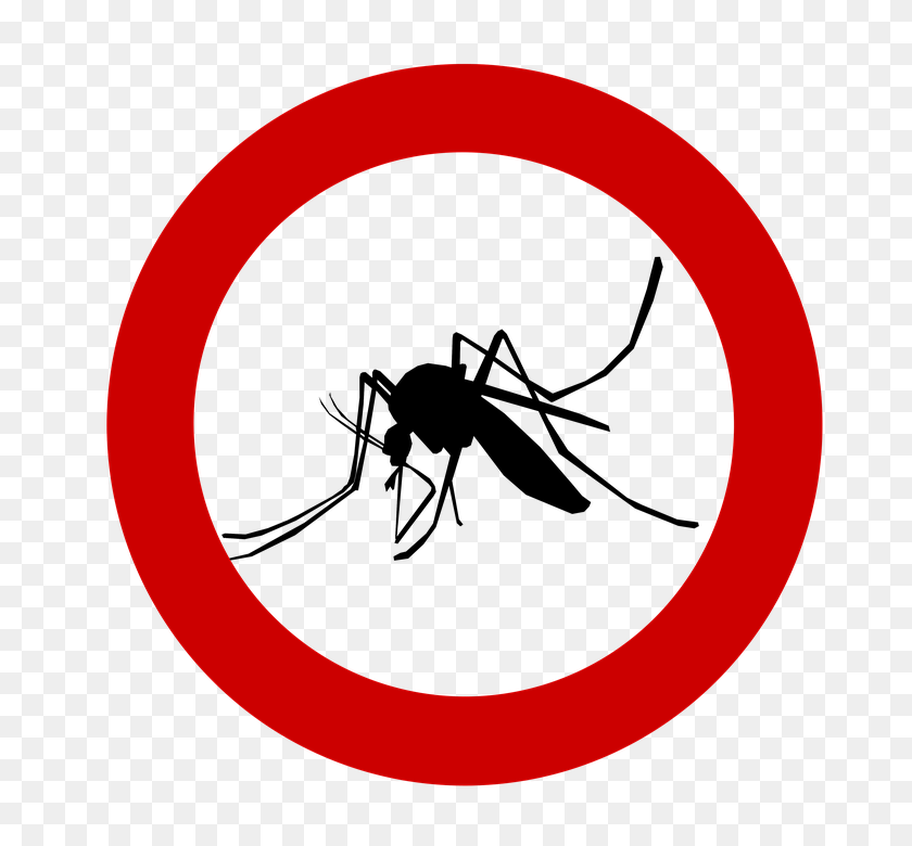 Detail No Mosquito Clipart Nomer 14