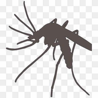 Detail No Mosquito Clipart Nomer 22