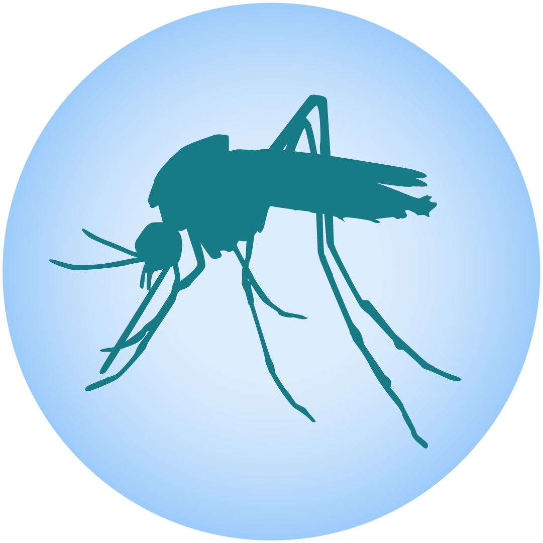 Detail No Mosquito Clipart Nomer 38