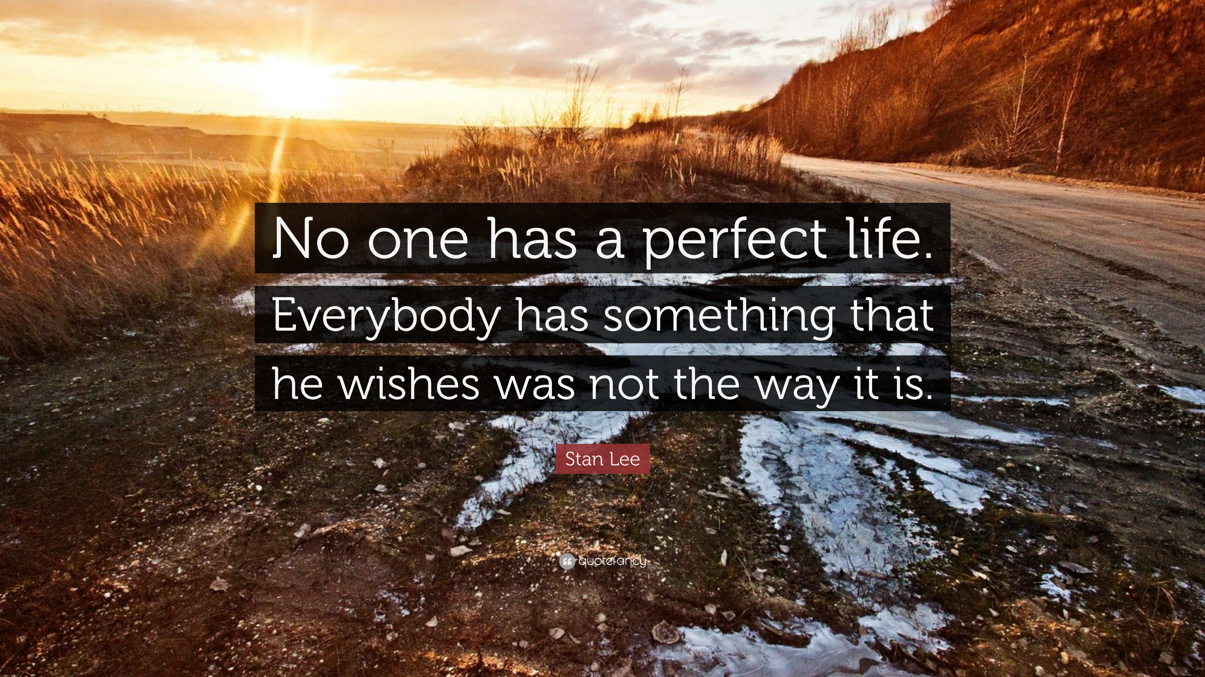 Detail No One Is Perfect Quotes Nomer 26