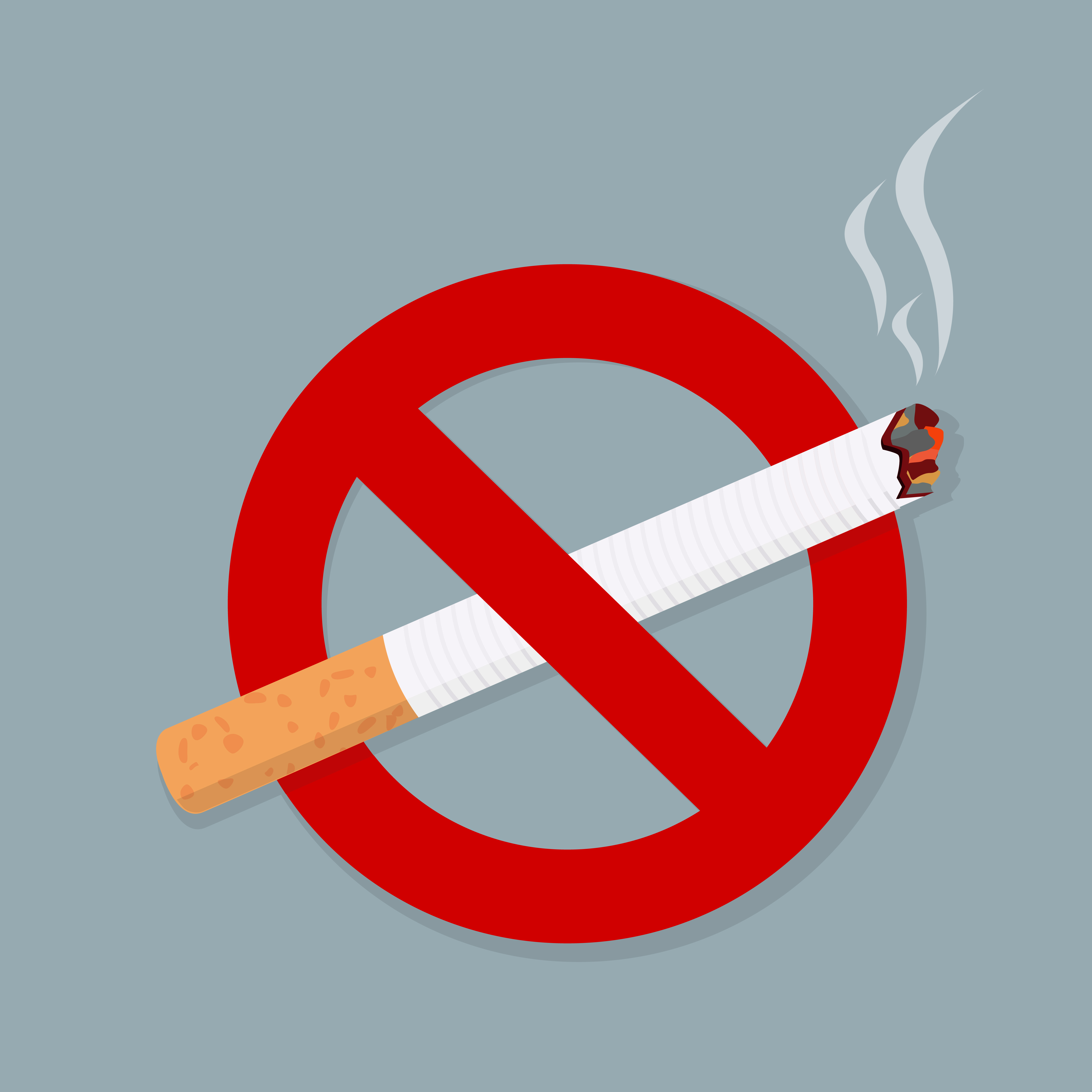 Detail No Smoking Vector Nomer 18