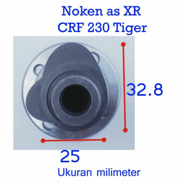 Detail Noken As Racing Tiger Nomer 56