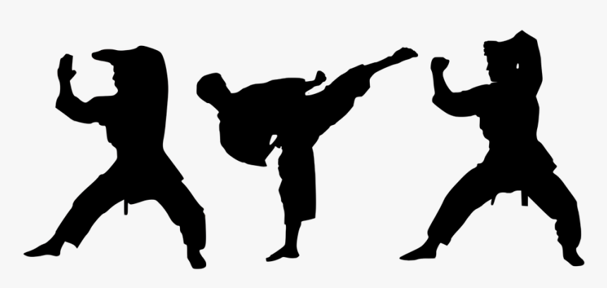 Detail Logo Karate Png Nomer 7