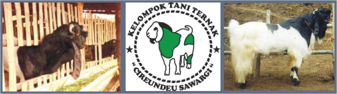 Detail Logo Kelompok Ternak Nomer 34