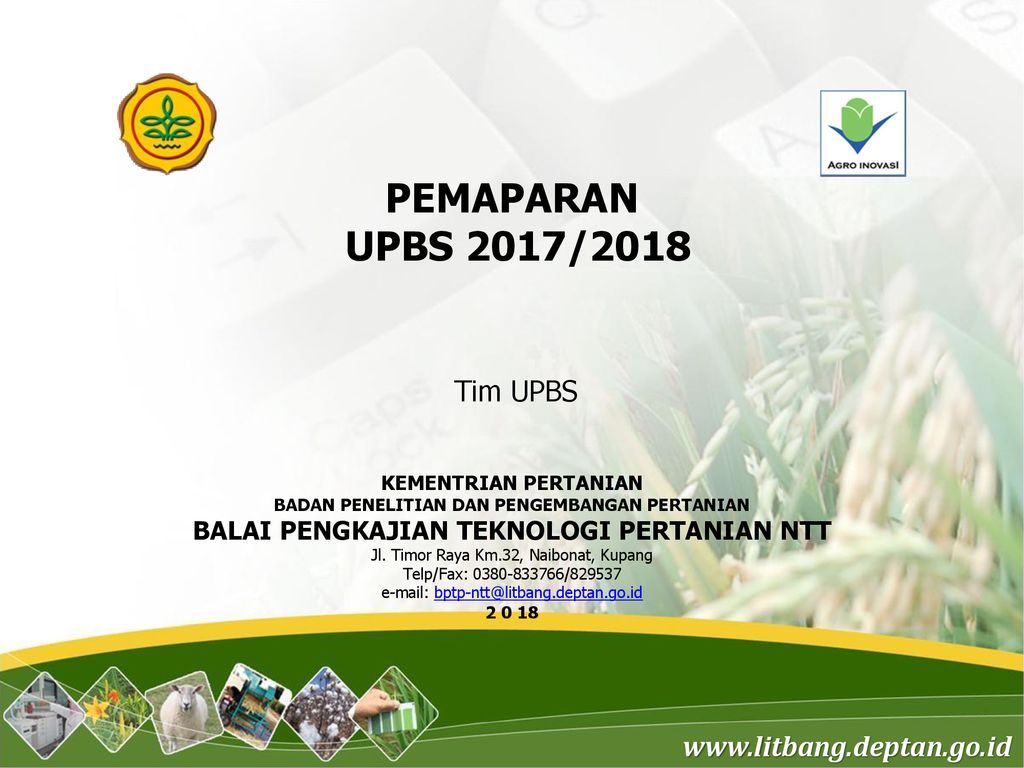 Detail Logo Kementerian Pertanian 2017 Nomer 27