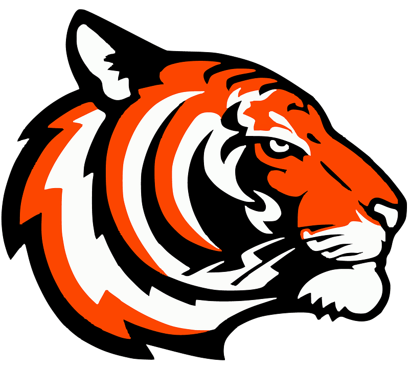 Detail Logo Kepala Harimau Putih Nomer 6