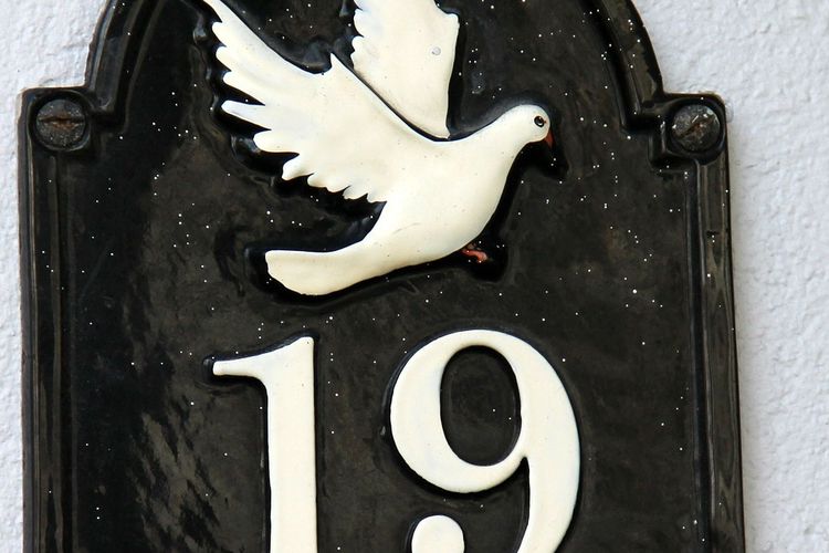 Detail Nomor Rumah Yang Membawa Hoki Nomer 8