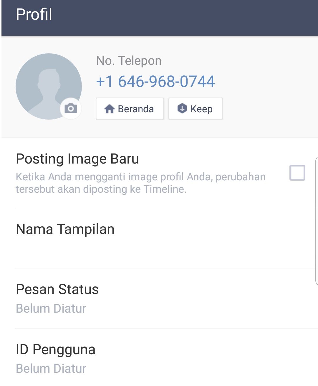 Detail Nomor Telepon Virtual Nomer 30