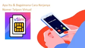 Detail Nomor Telepon Virtual Nomer 38