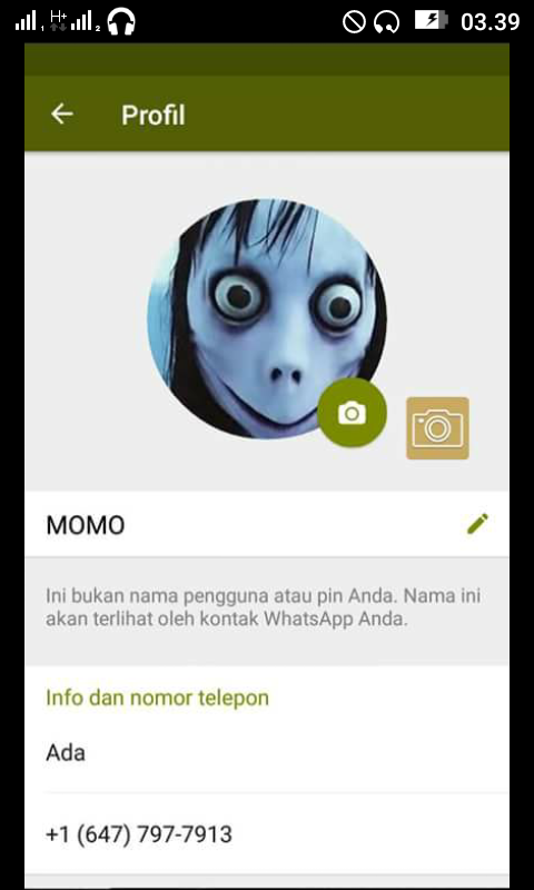 Detail Nomor Wa Hantu Indonesia Nomer 19