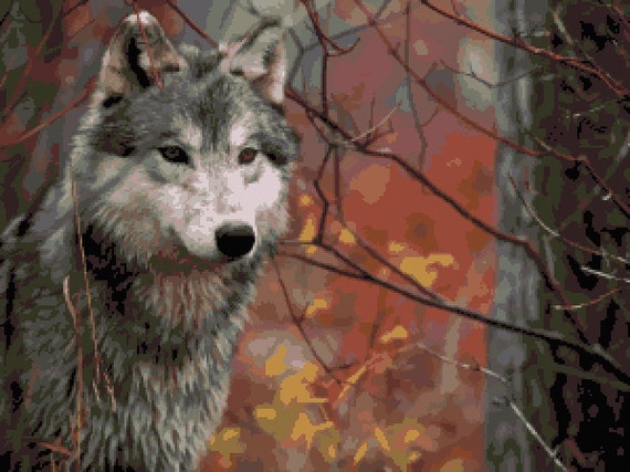 Detail Non Copyrighted Wolf Images Nomer 26