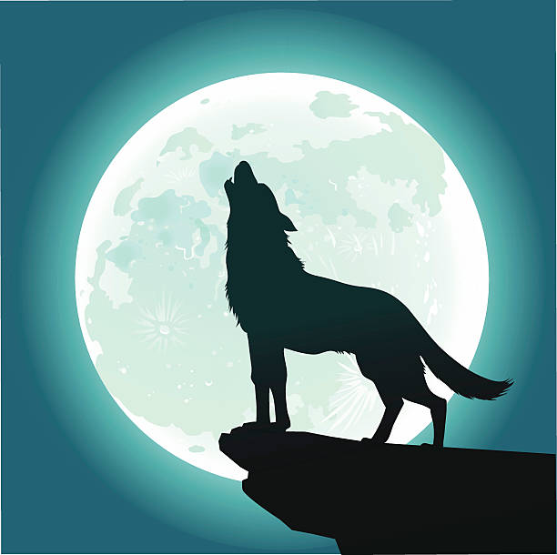 Detail Non Copyrighted Wolf Images Nomer 6