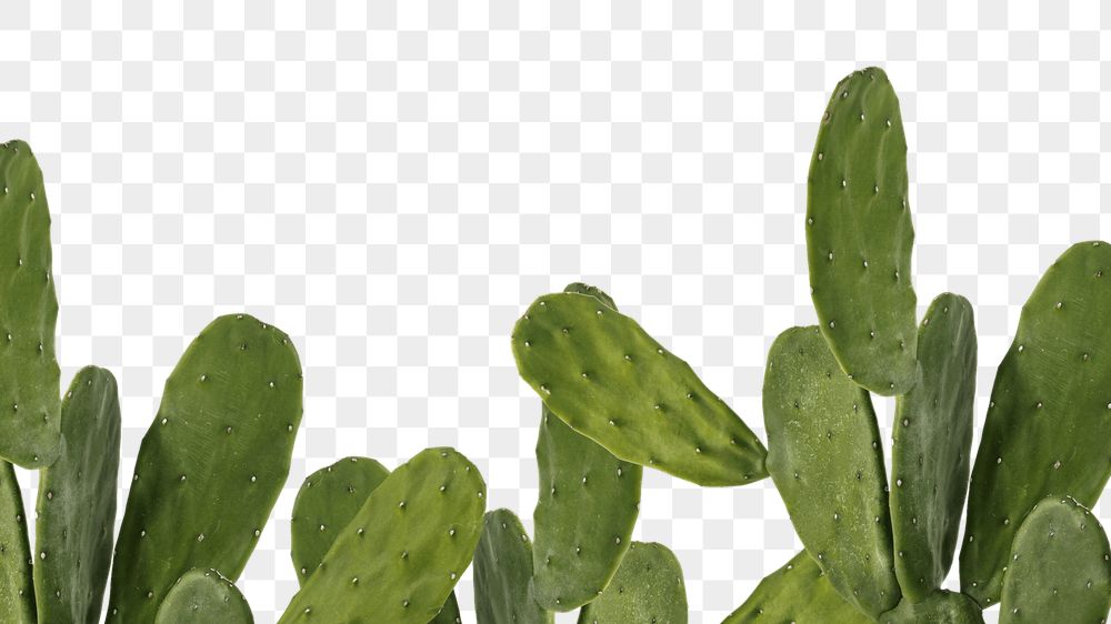 Detail Nopales Png Nomer 9