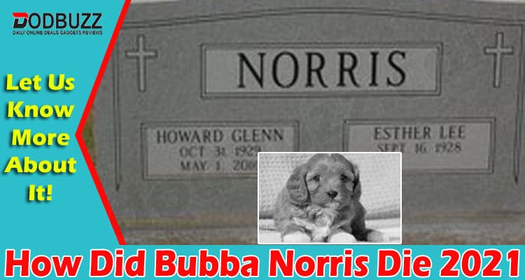 Detail Norris Nuts Dog Nomer 16