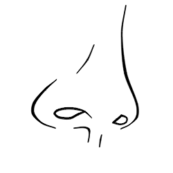 Detail Nose Animation Nomer 28
