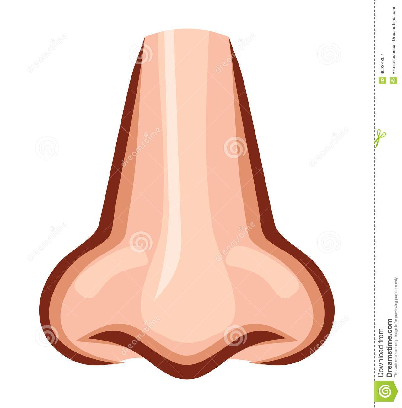 Detail Nose Animation Nomer 4