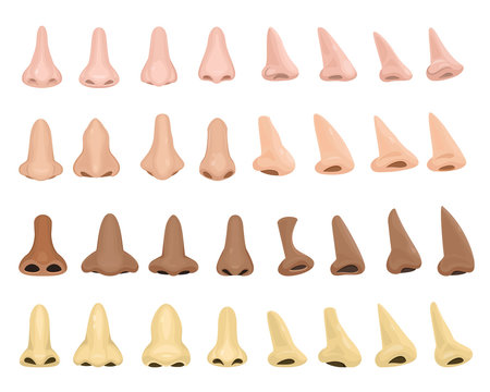 Detail Nose Animation Nomer 48