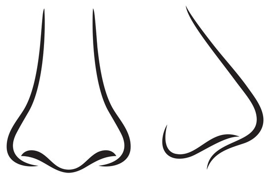 Detail Nose Animation Nomer 53