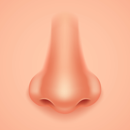 Detail Nose Animation Nomer 9