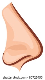Detail Nose Animation Nomer 10