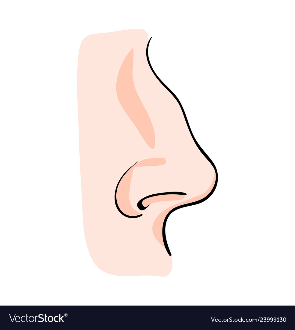 Detail Nose Cartoon Nomer 2