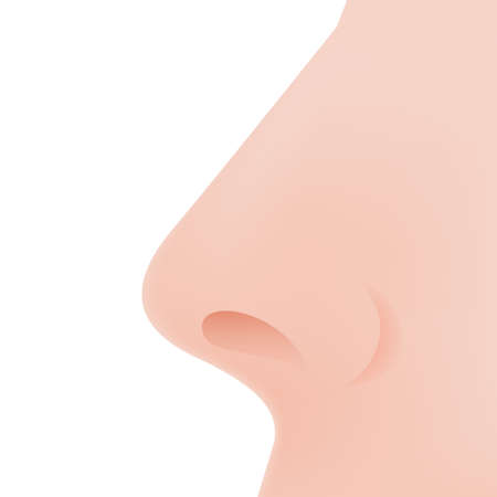 Detail Nose Clipart Nomer 33