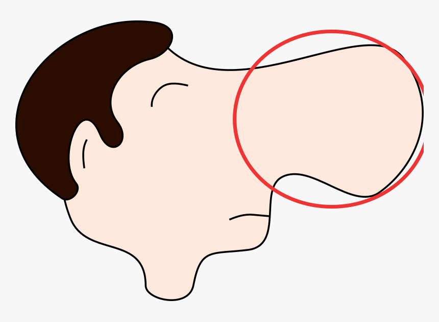 Detail Nose Clipart Png Nomer 15