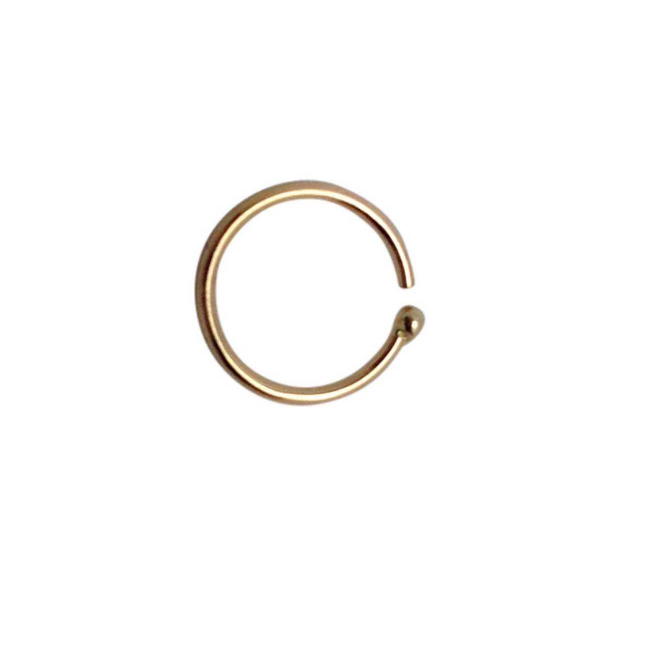 Detail Nose Hoop Png Nomer 22