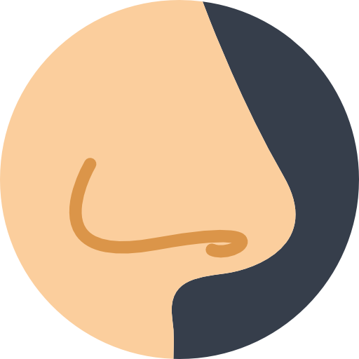 Detail Nose Icon Nomer 6