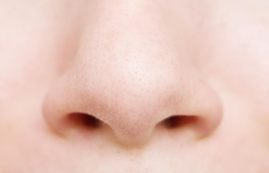 Detail Nose Image Nomer 11