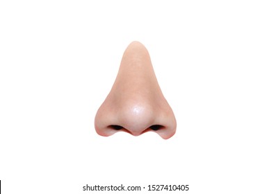 Detail Nose Image Nomer 12