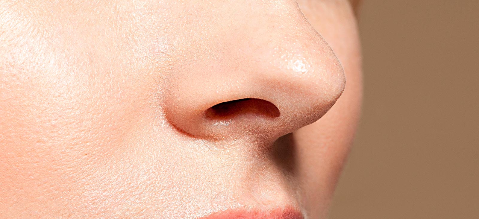 Detail Nose Image Nomer 13